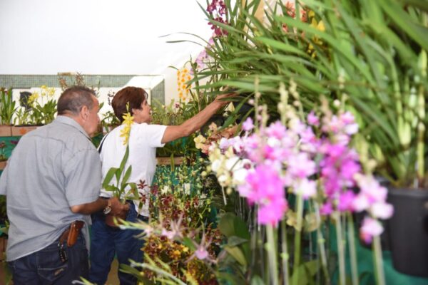 Exposição de orquidea Foto: Jhonney Macena