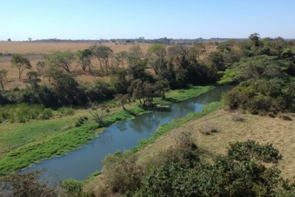 Goiás realiza Semana do Meio Ambiente nesta quarta e quinta