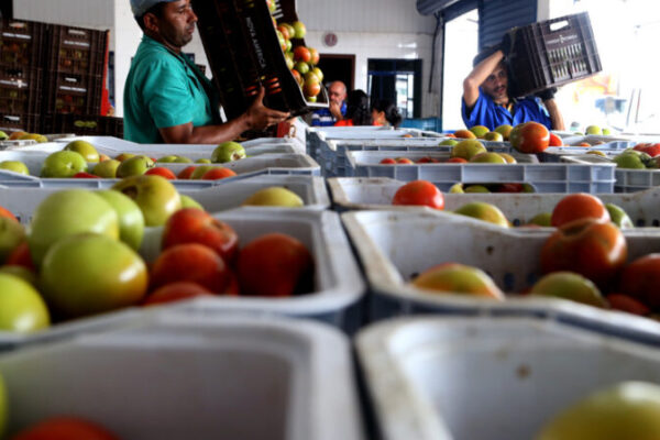 Uma nova Rede Brasileira de Bancos de Alimentos