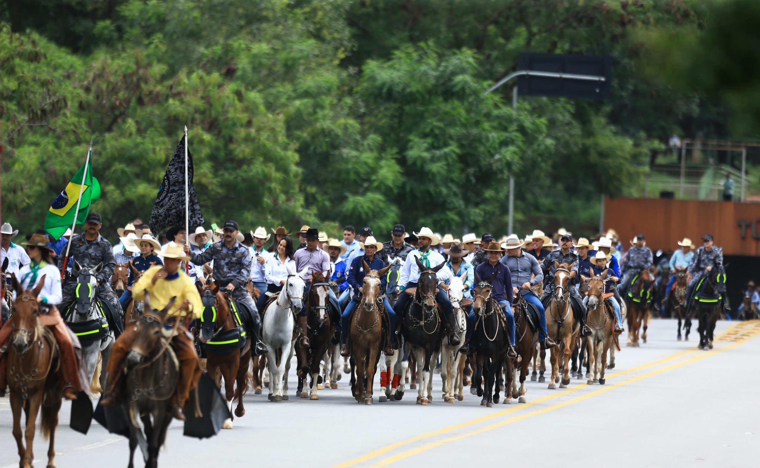 Encontro de Comitivas
