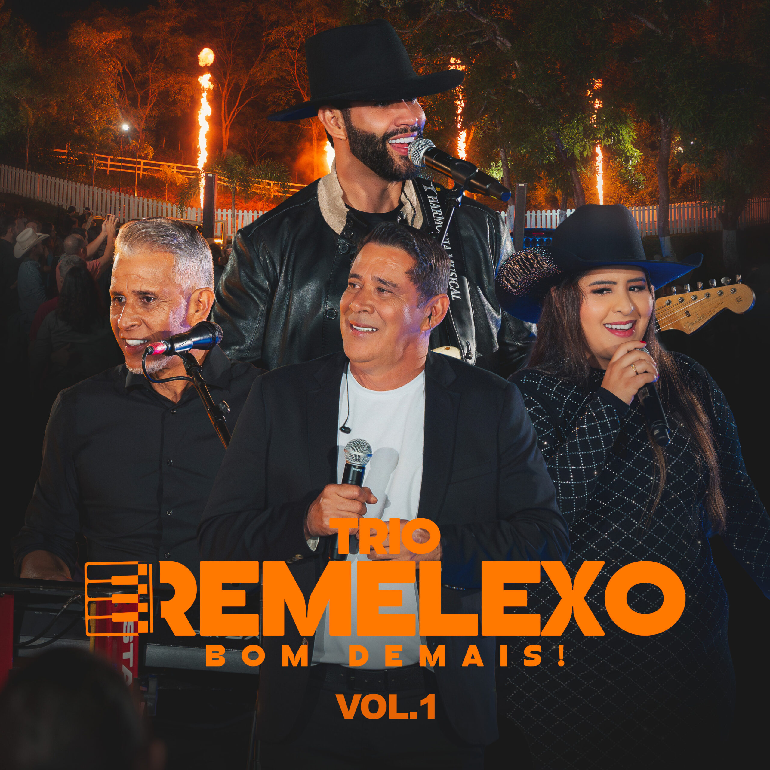 Trio Remelexo Bom Demais